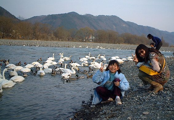 Swan Lake